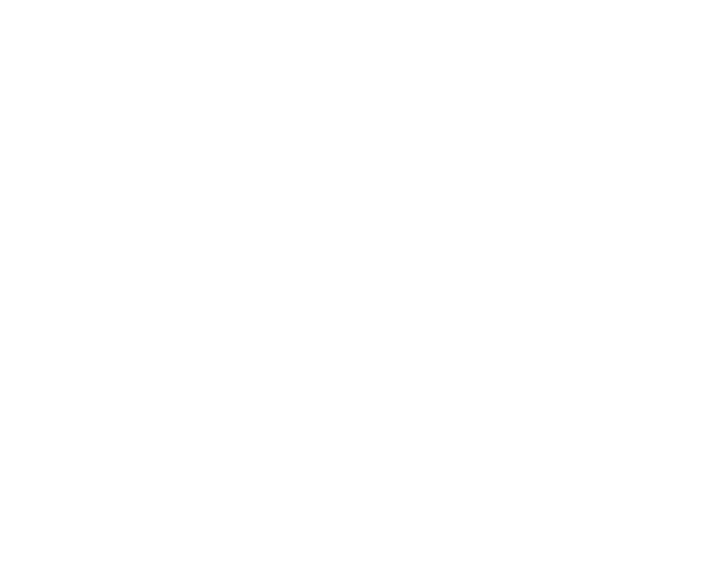 Logo - Anon White
