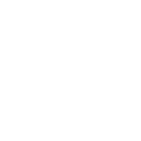 Fischer Ski