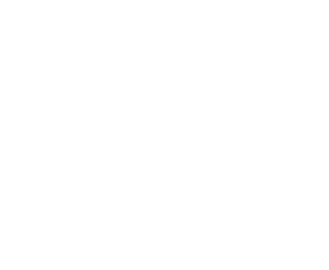 Logo - Anon White