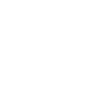 Subaru_Wordmark-White